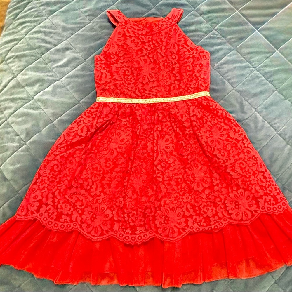 Rare Editions Red Lace Formal Dress for Kids